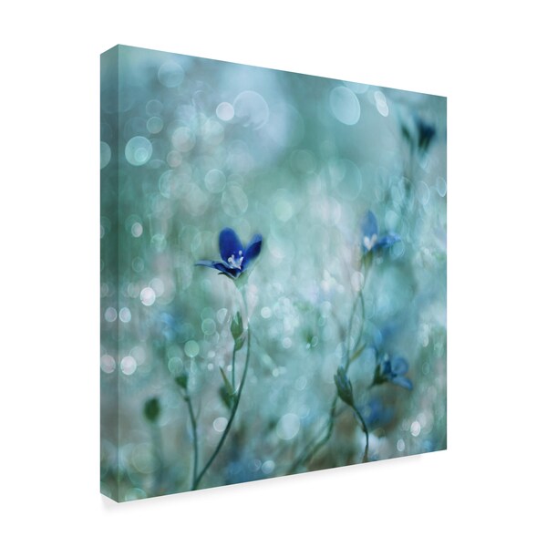 Delphine Devos 'Blue Dream Land' Canvas Art,14x14